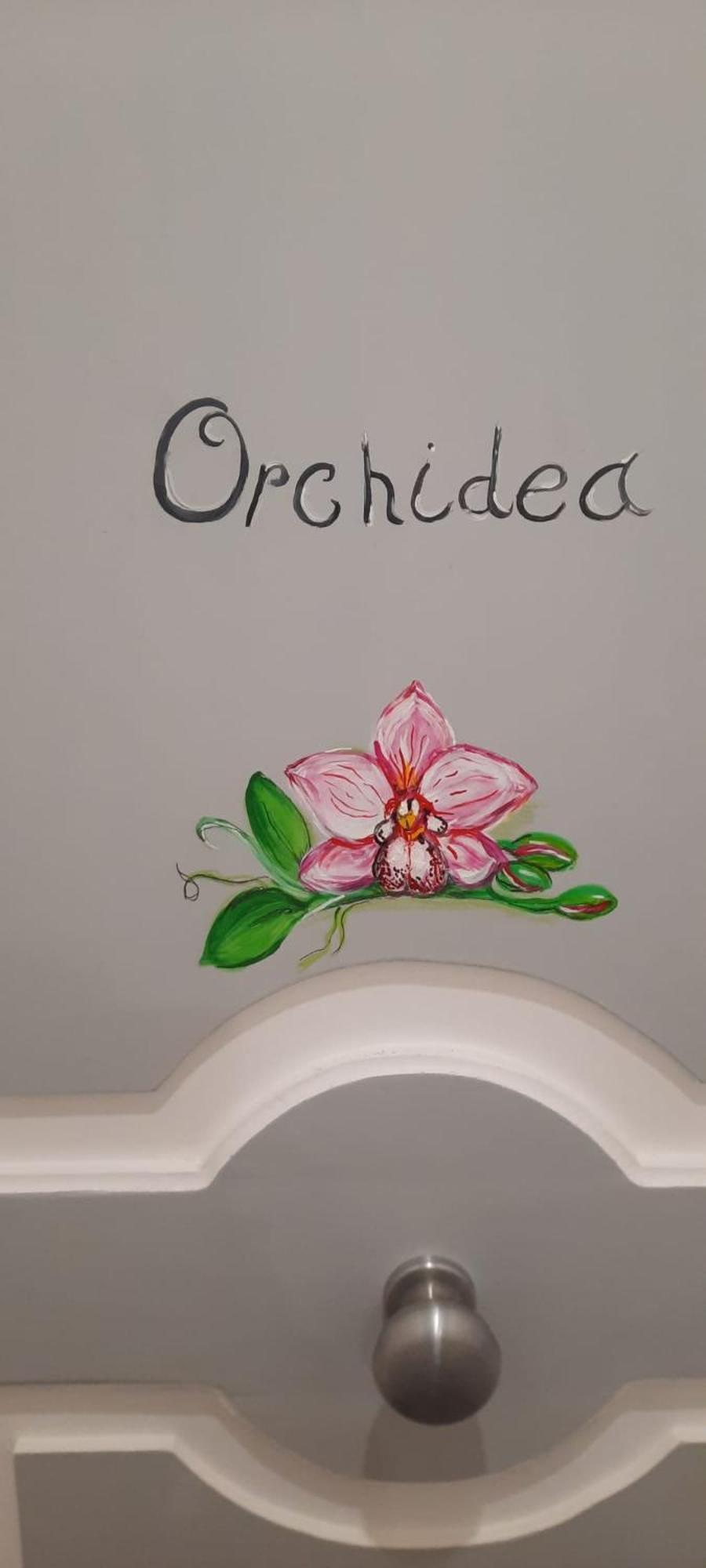 Residenza D'Epoca Tamara Aparthotel Castellabate Kültér fotó